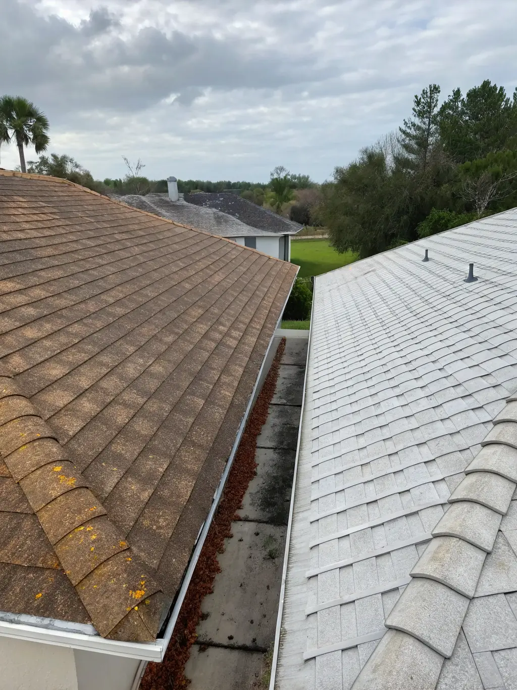 A before-and-after split image showing a heavily soiled roof on one side and a clean roof on the other, clearly demonstrating the effectiveness of the cleaning service.